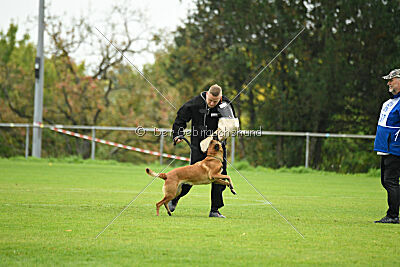 Nessi vom Zabelstein