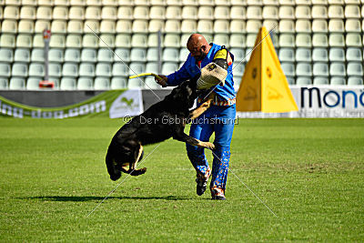 Newton von Skandinavika