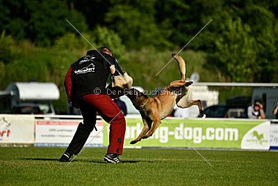 Nexor vom Brunsbeker Land