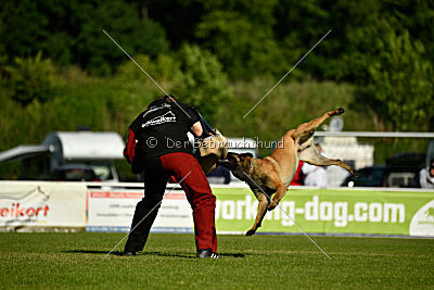 Nexor vom Brunsbeker Land