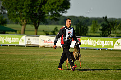 Nexor vom Brunsbeker Land