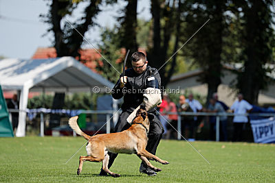 Nexor vom Brunsbeker Land