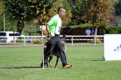 Nexor vom Brunsbeker Land