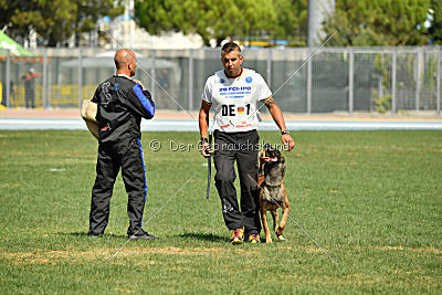 Nexor vom Brunsbeker Land