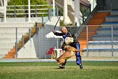Nexor vom Brunsbeker Land