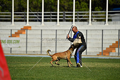 Nexor vom Brunsbeker Land