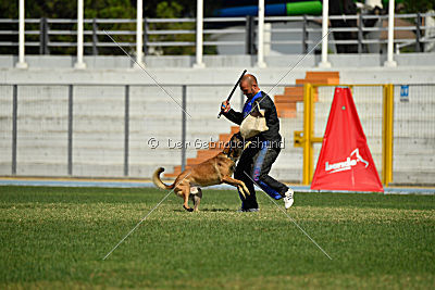 Nexor vom Brunsbeker Land