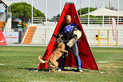 Nexor vom Brunsbeker Land