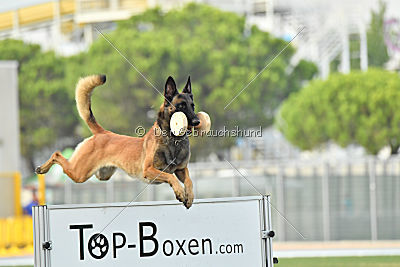 Nexor vom Brunsbeker Land