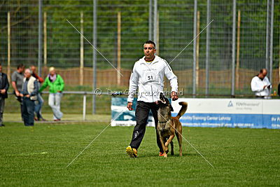 Nexor vom Brunsbeker Land