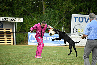 Niara vom Hatzbachtal