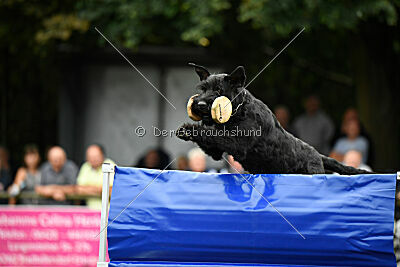 Niara vom Hatzbachtal