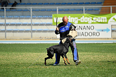 Nico de Covalta