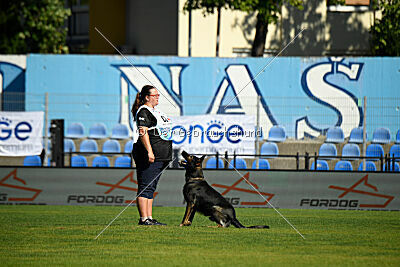 Nico z Lomeckého polesi