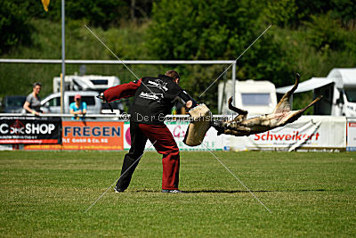 Nike vom Drachenherz