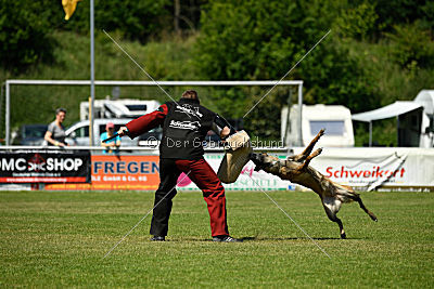 Nike vom Drachenherz