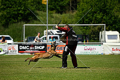 Nike vom Drachenherz