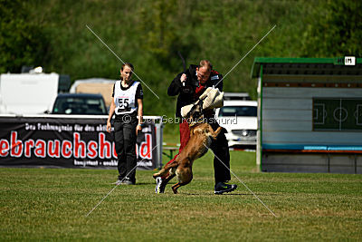 Nike vom Drachenherz