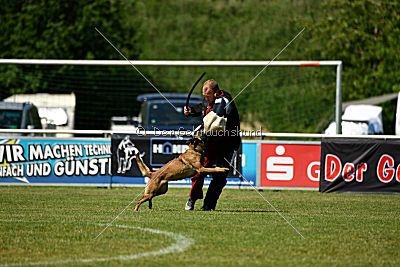 Nike vom Drachenherz