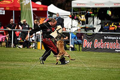 Nike vom Drachenherz