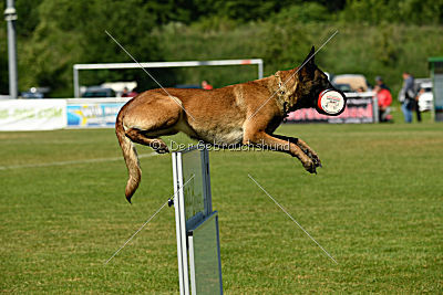 Nike vom Drachenherz