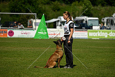 Nike vom Drachenherz