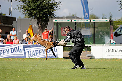 Nike vom Drachenherz