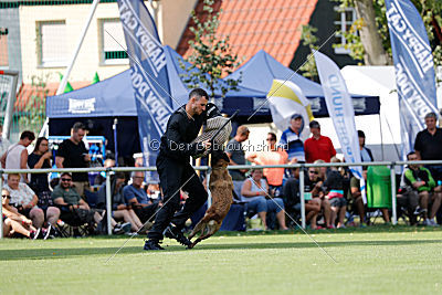 Nike vom Drachenherz