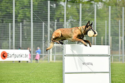 Nike vom Drachenherz