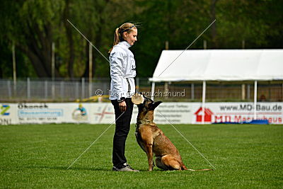 Nike vom Drachenherz