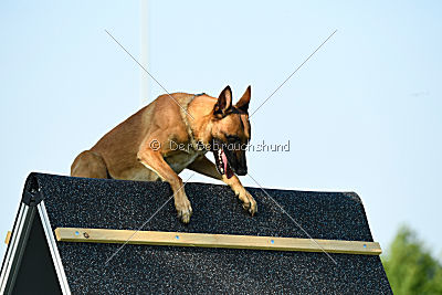 Nikelson van het Dreiland