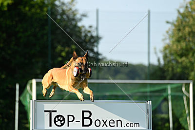 Nikelson van het Dreiland