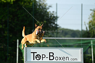 Nikelson van het Dreiland