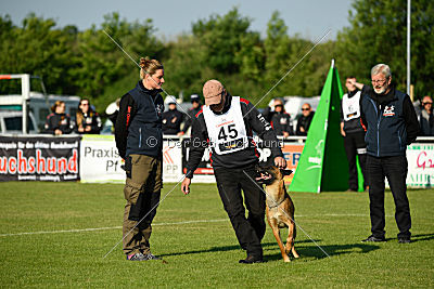 Nikelson van het Dreiland