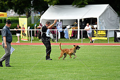 Nikelson van het Dreiland