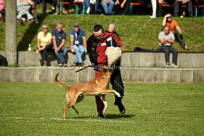 Nikelson van het Dreiland