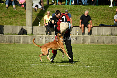 Nikelson van het Dreiland