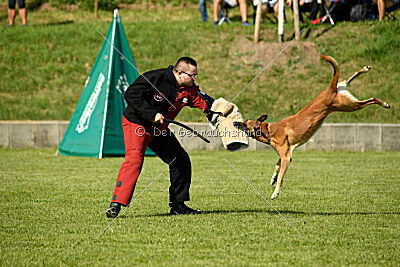 Nikelson van het Dreiland