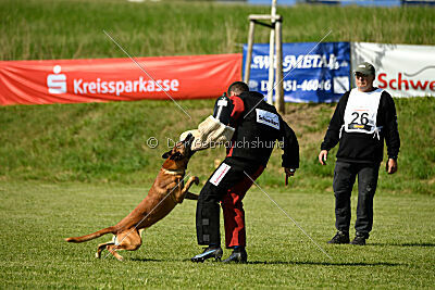 Nikelson van het Dreiland