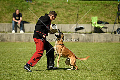 Nikelson van het Dreiland