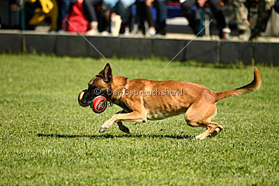 Nikelson van het Dreiland