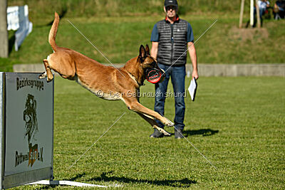 Nikelson van het Dreiland