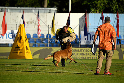 Niko des Pirates de Matra