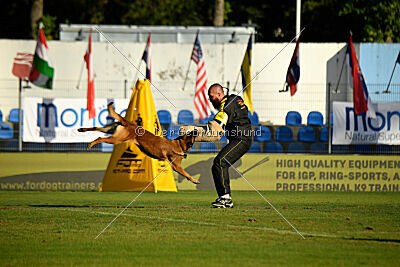 Niko des Pirates de Matra