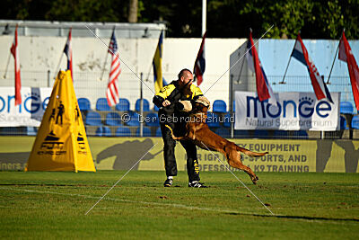 Niko des Pirates de Matra