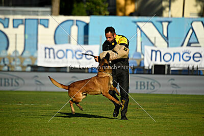 Niko des Pirates de Matra