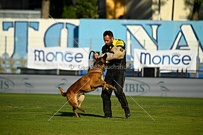 Niko des Pirates de Matra