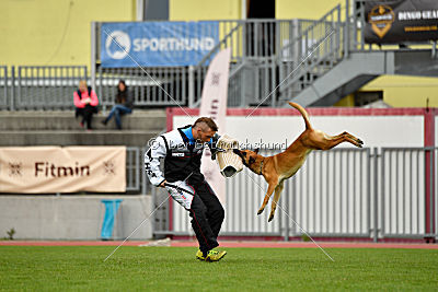 Nisha van het Dreiland