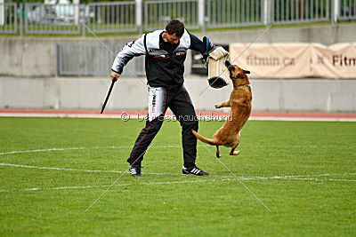 Nisha van het Dreiland