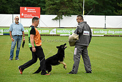 Nitra vom Eisernen Kreuz